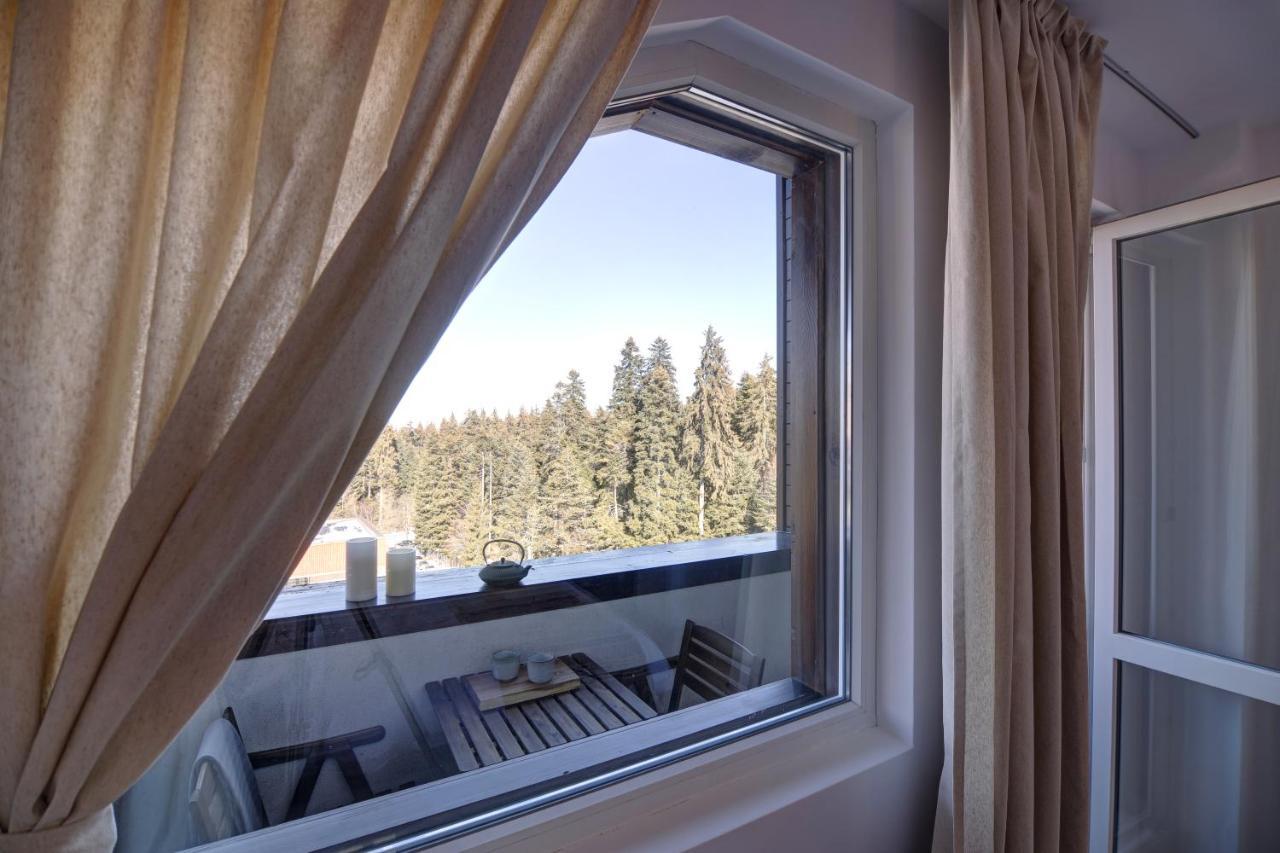 Pinewood Apartment Borovets Extérieur photo