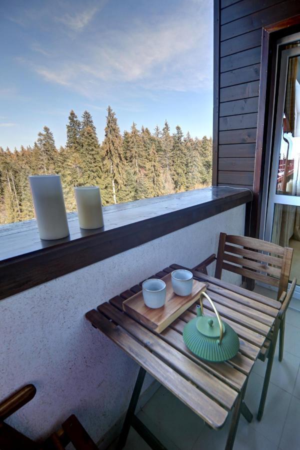 Pinewood Apartment Borovets Extérieur photo
